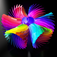 Color Photo - Create colorful images
